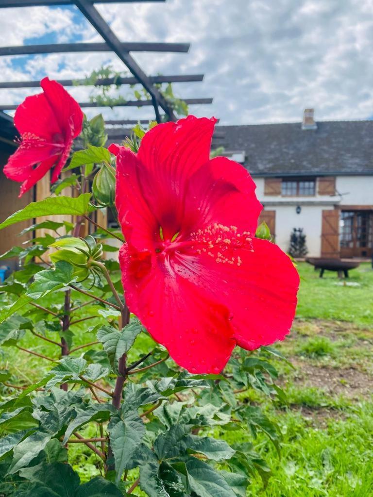 Le Chene D'Or Bed & Breakfast Marcheseuil ภายนอก รูปภาพ