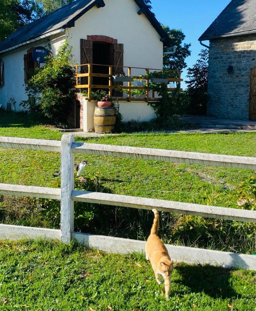Le Chene D'Or Bed & Breakfast Marcheseuil ภายนอก รูปภาพ